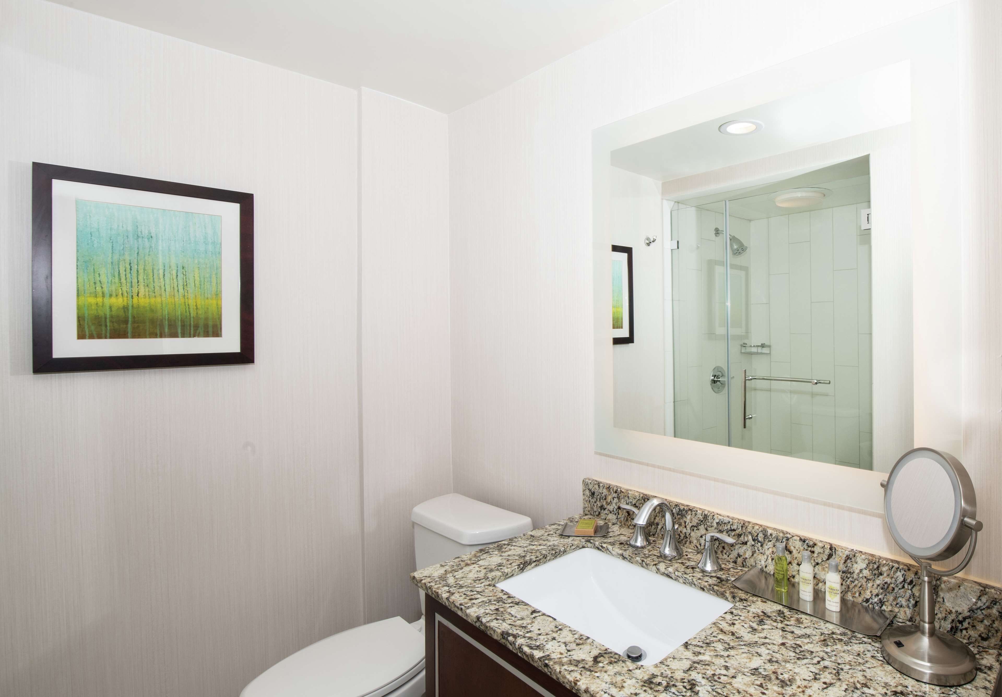 A bathroom with a white toilet, a granite countertop sink, a large mirror, and a framed painting on the wall.