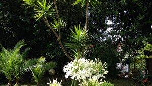 A garden with various plants, including a prominent white flowering plant in the foreground. - Raffaelli Park Hotel (Forte dei Marmi)