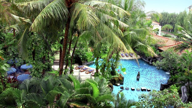 A pool surrounded by lush palm trees and tropical foliage, with lounge chairs and umbrellas.