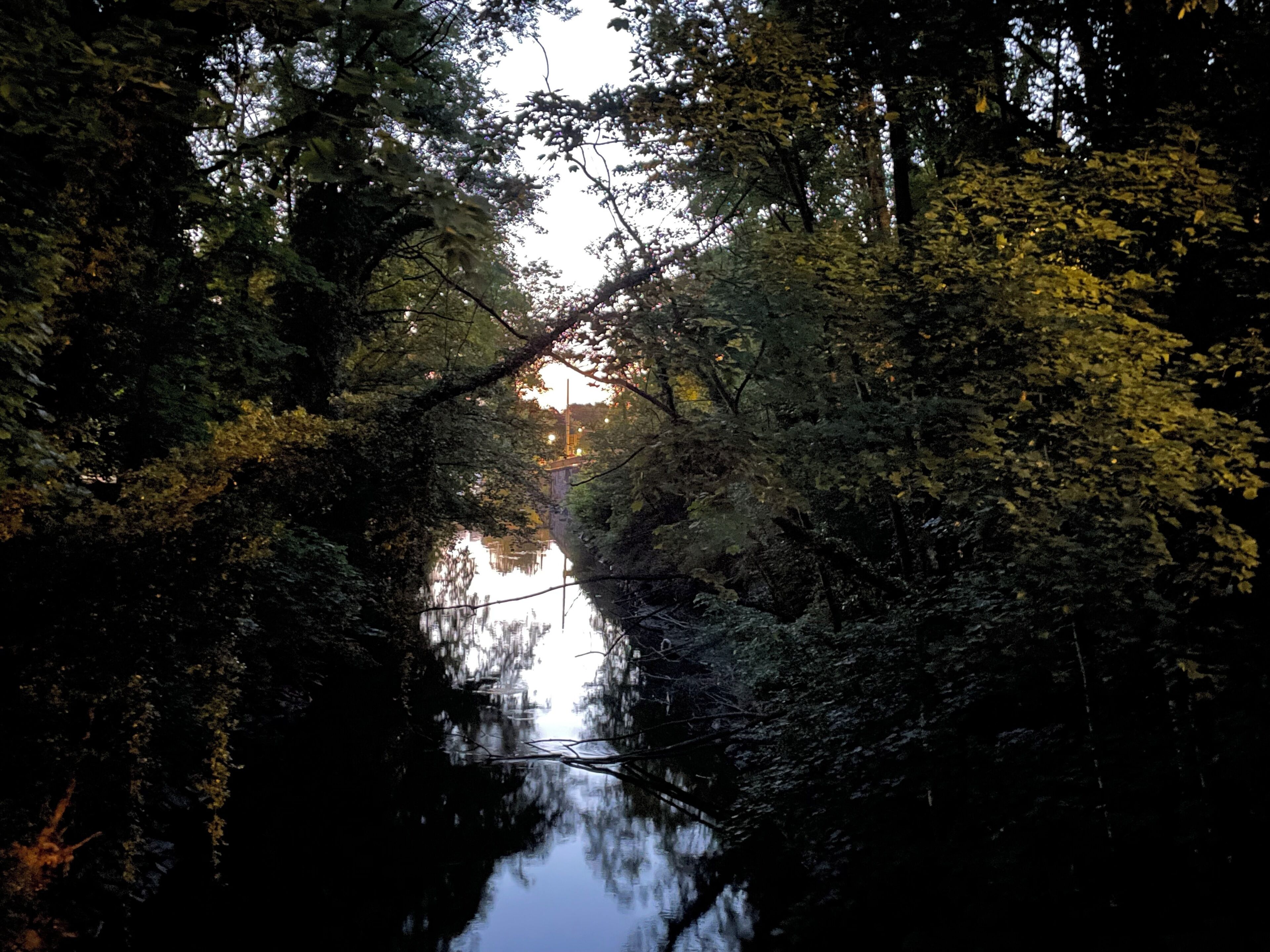 Ein Fluss, umgeben von dichtem Grün, mit einer Brücke in der Ferne.