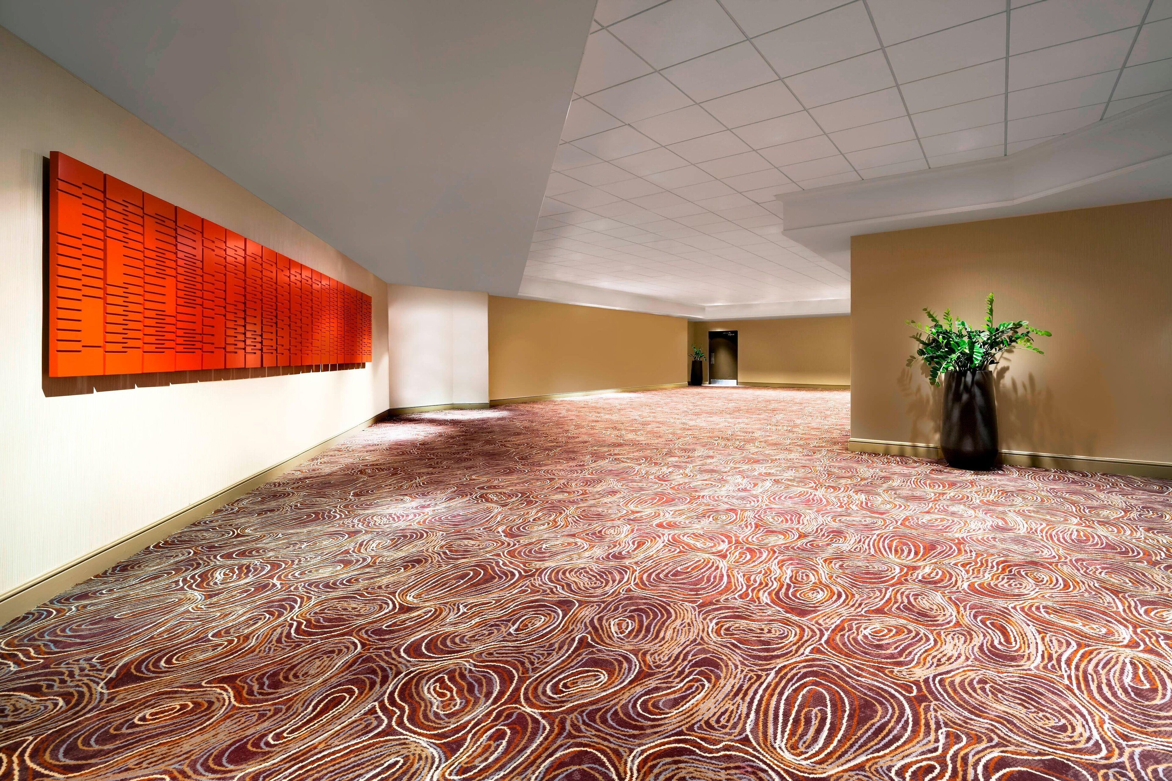 Un pasillo amplio con alfombra estampada, un panel de pared rojo grande y una planta en maceta.
