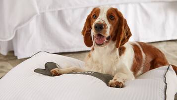 A dog lying on a white pet bed with a bone-shaped pillow.
