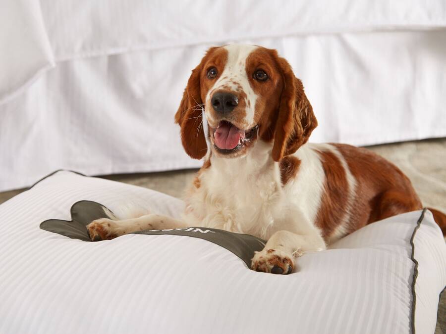 A dog lying on a white pet bed with a bone-shaped pillow.