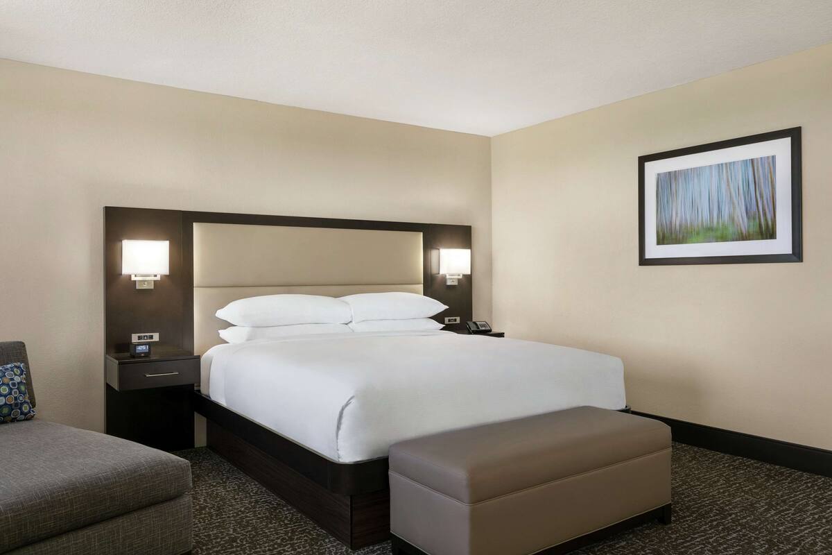A hotel room with a large bed, a bedside table with a lamp, a small desk, and a framed picture on the wall.