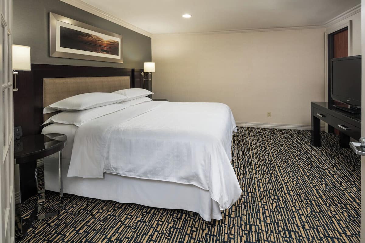 Loft, 1 cama de matrimonio grande con sofá cama, vistas al patio | Ropa de cama de alta calidad y edredones de plumas