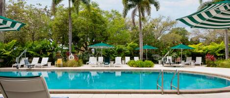 A swimming pool with lounge chairs and umbrellas, surrounded by palm trees and greenery.