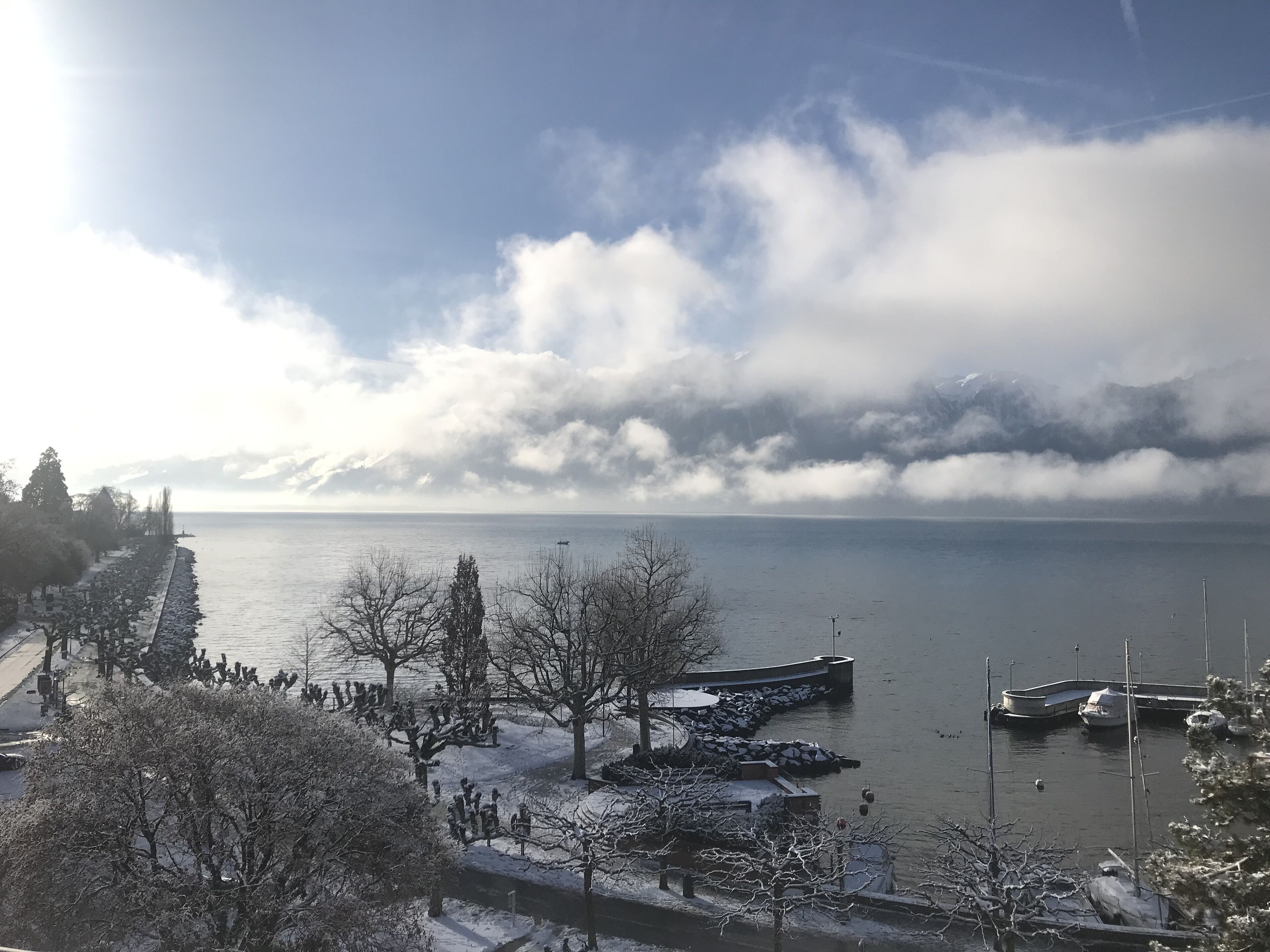 A waterfront view with a dock, boats, and snow-covered trees.