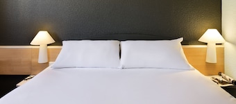 ibis Sisteron