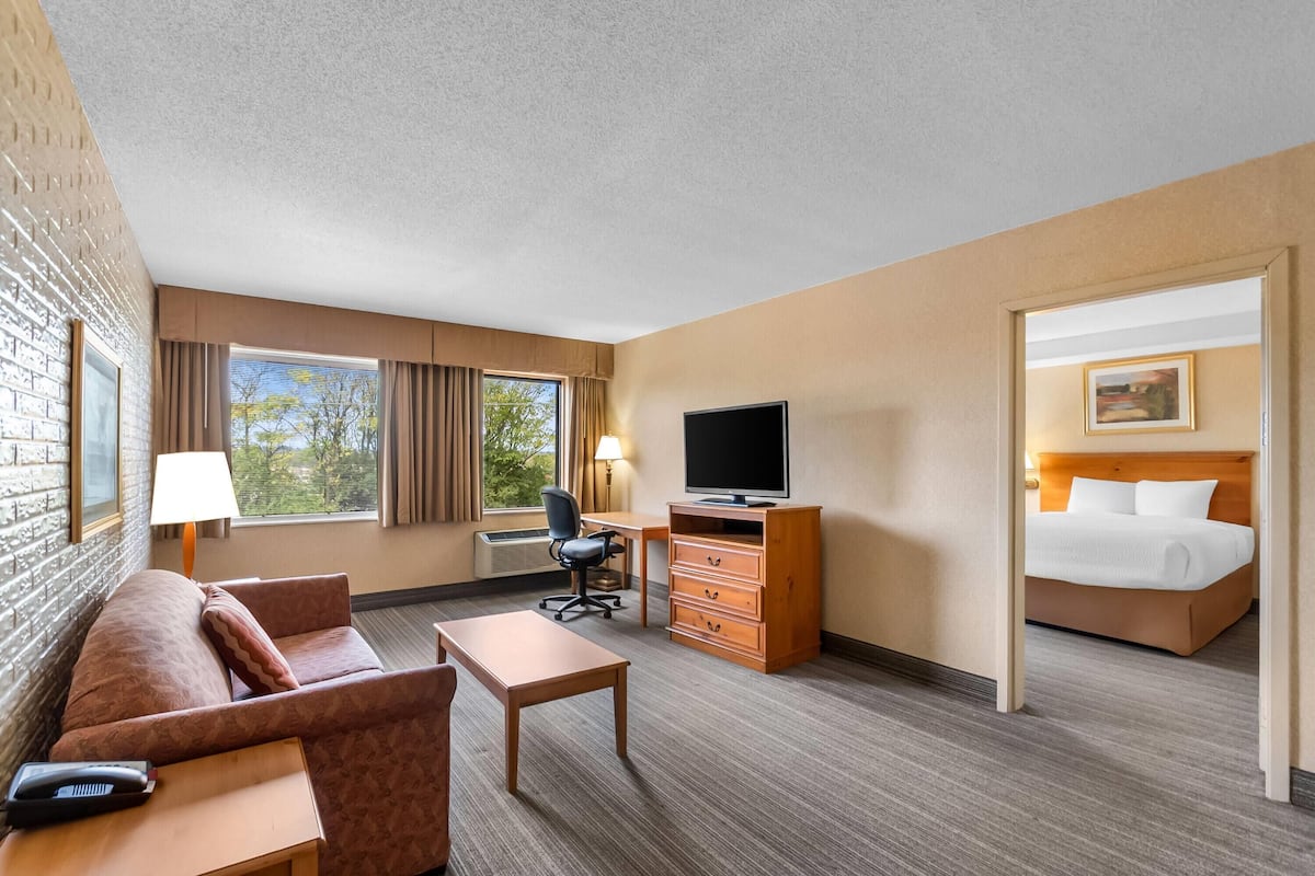 Suite, 1 King Bed, Smoking | Living area