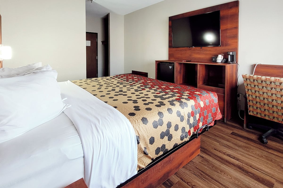 Una habitación de hotel con cama, televisor montado en la pared, escritorio con cafetera y una silla estampada.