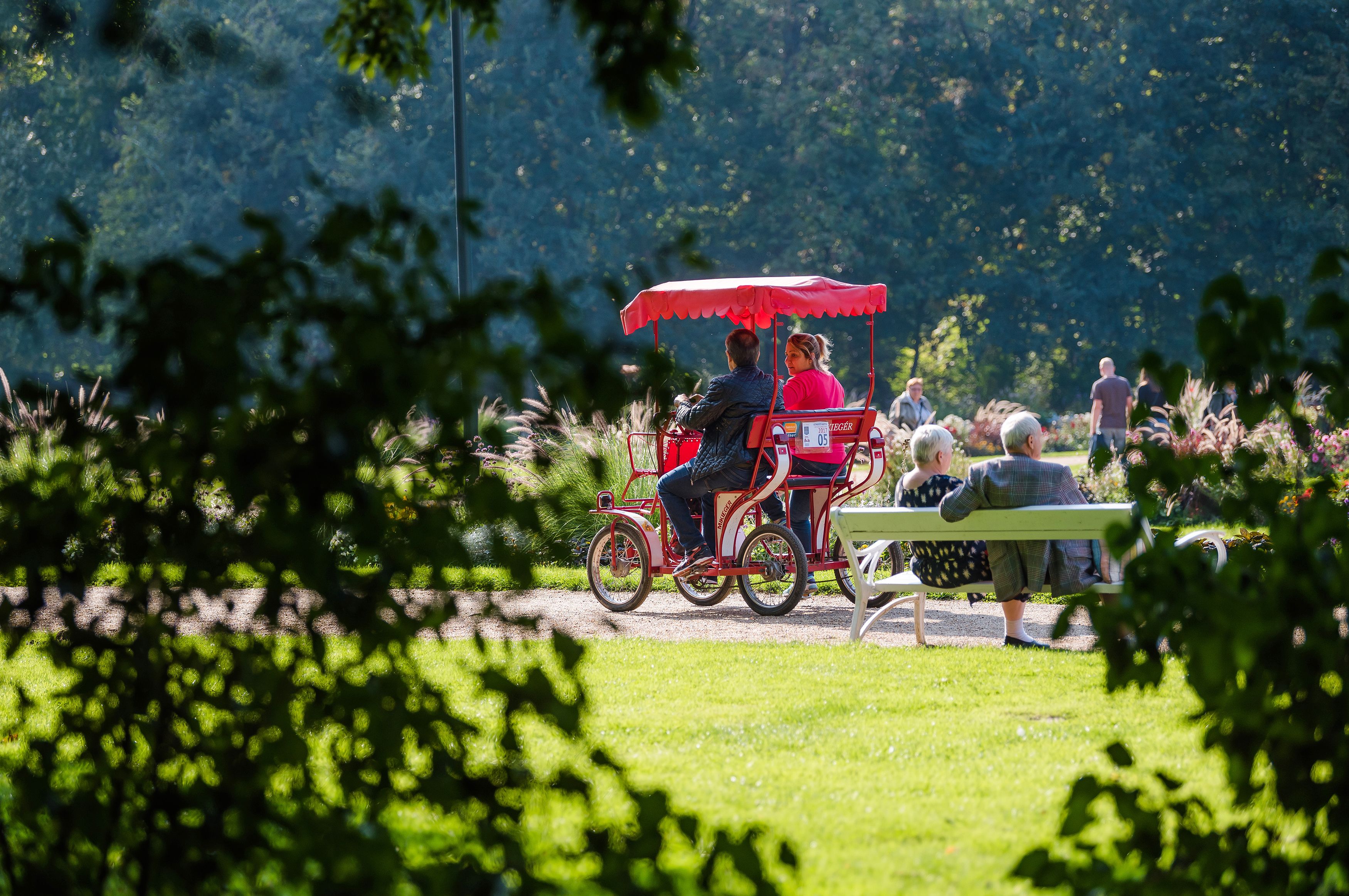 Un carruaje rojo con pasajeros, un banco y un sendero en un parque.