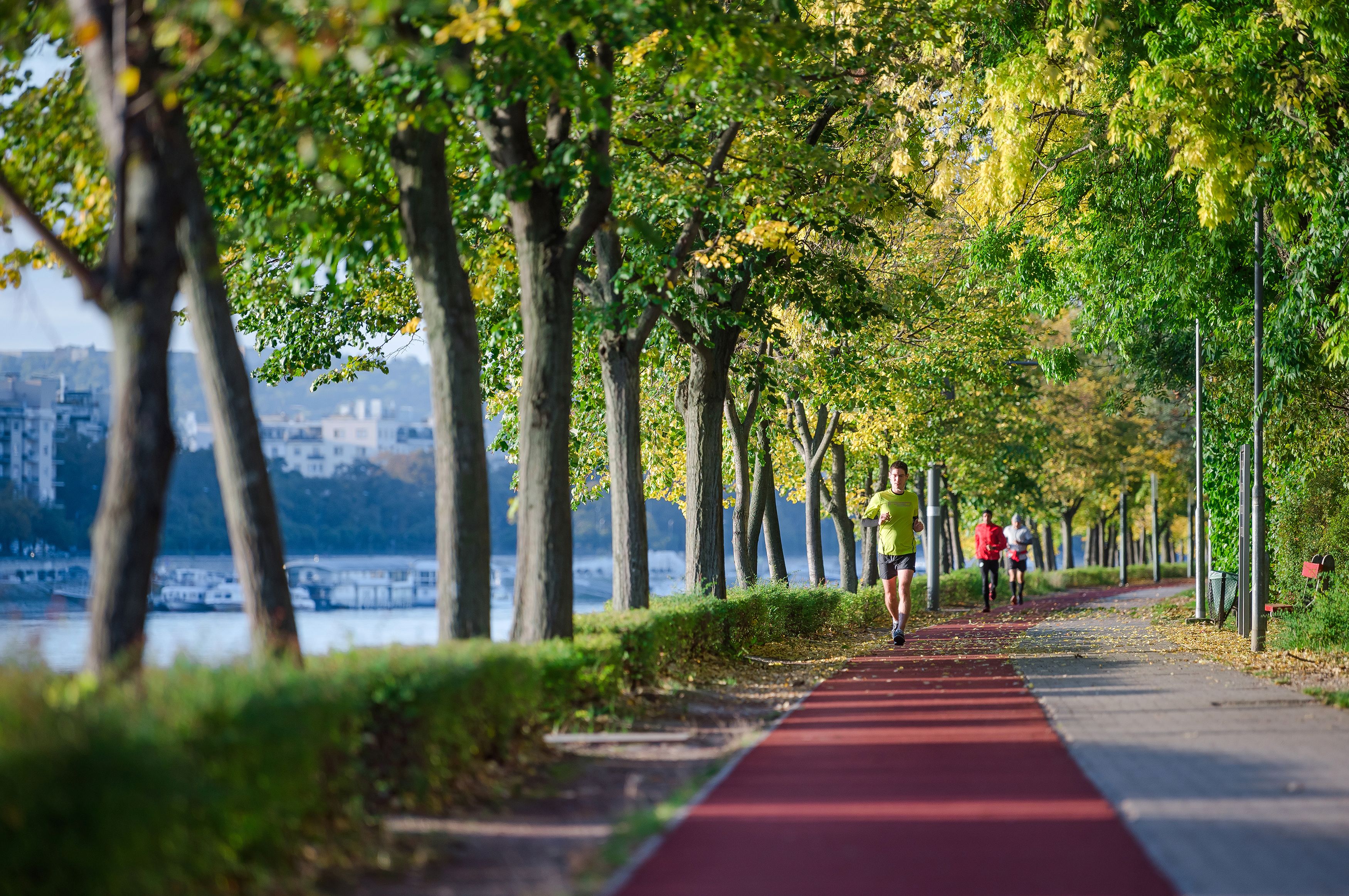 En röd löparbana som kantas av träd, med en vattenyta i bakgrunden.