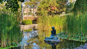 A serene pond with a statue in the center, surrounded by tall reeds and lily pads. - Ensana Thermal Margaret Island (Budapest)