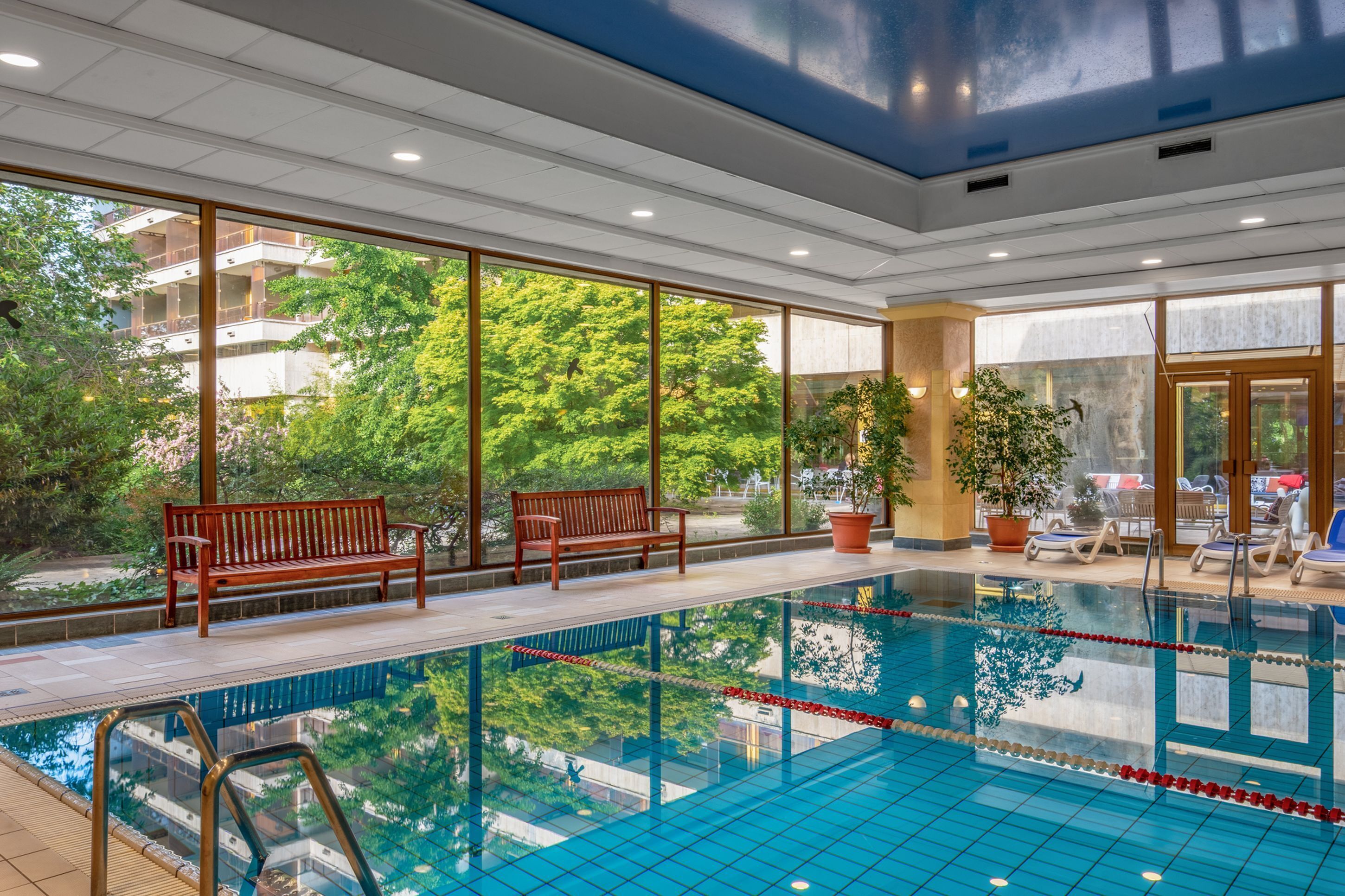 Una piscina interna con acqua cristallina, panche in legno e piante in vaso.