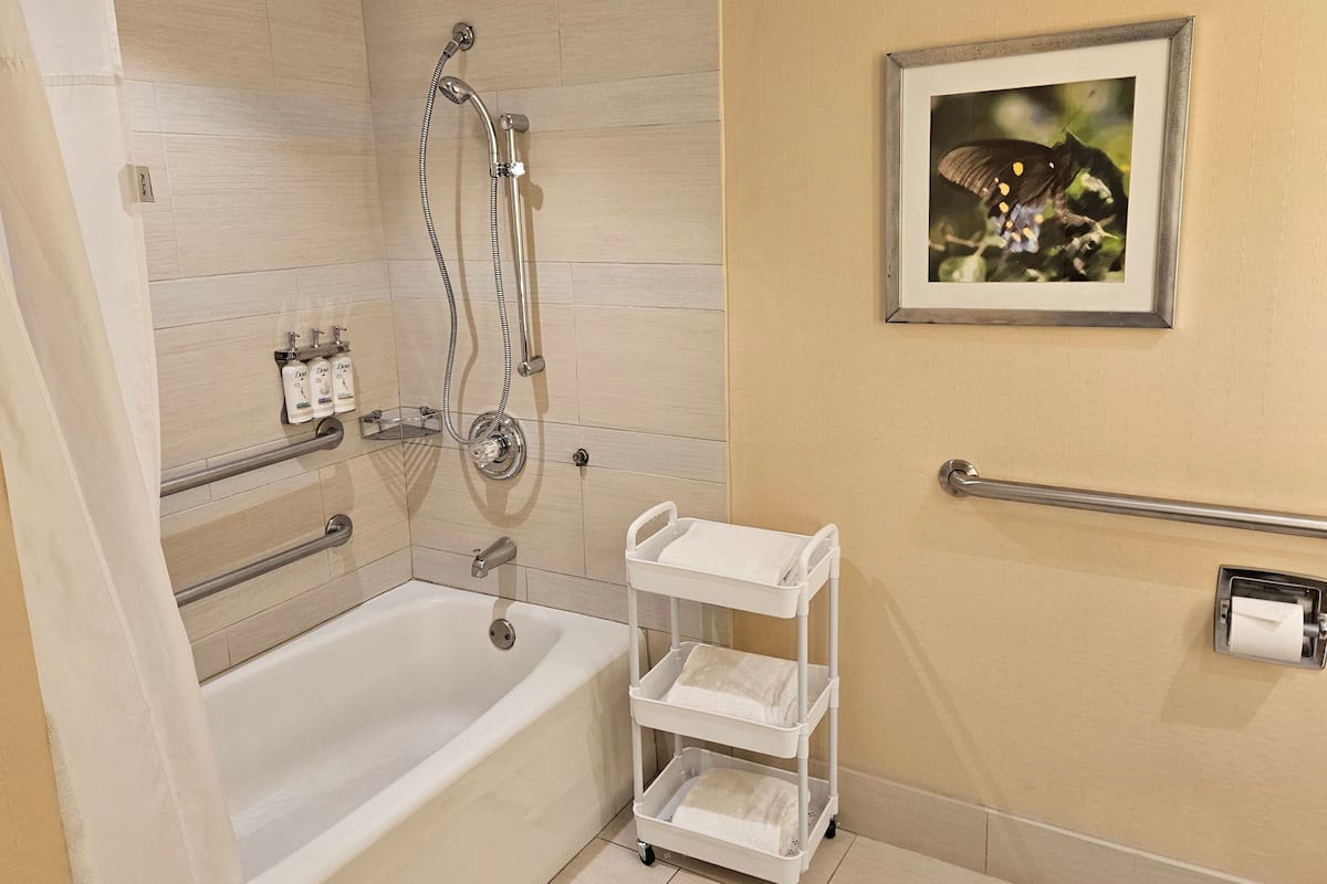 Combined shower/bathtub, eco-friendly toiletries, hair dryer, towels