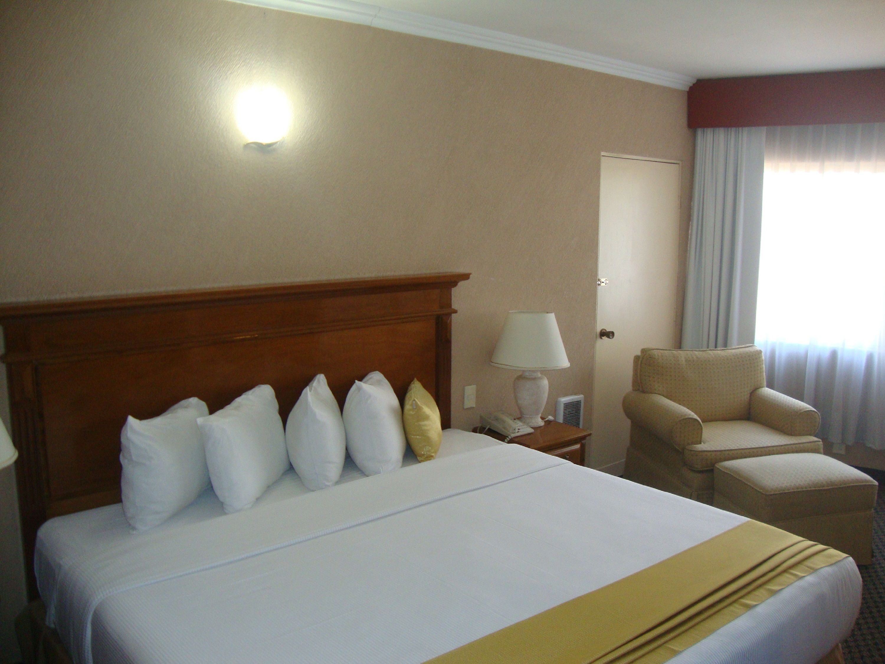 Business Suite, 1 Bedroom, Jetted Tub | Desk, iron/ironing board, free WiFi