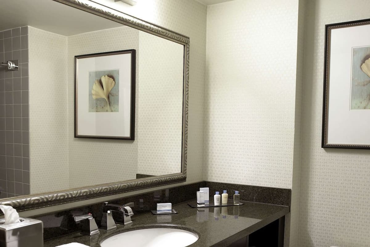 Bathroom | Combined shower/bathtub, deep-soaking bathtub, free toiletries
