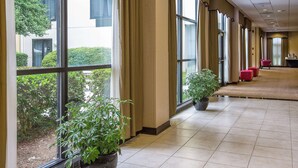 Ein Hotelgang mit großen Fenstern, Topfpflanzen und Teppichboden.