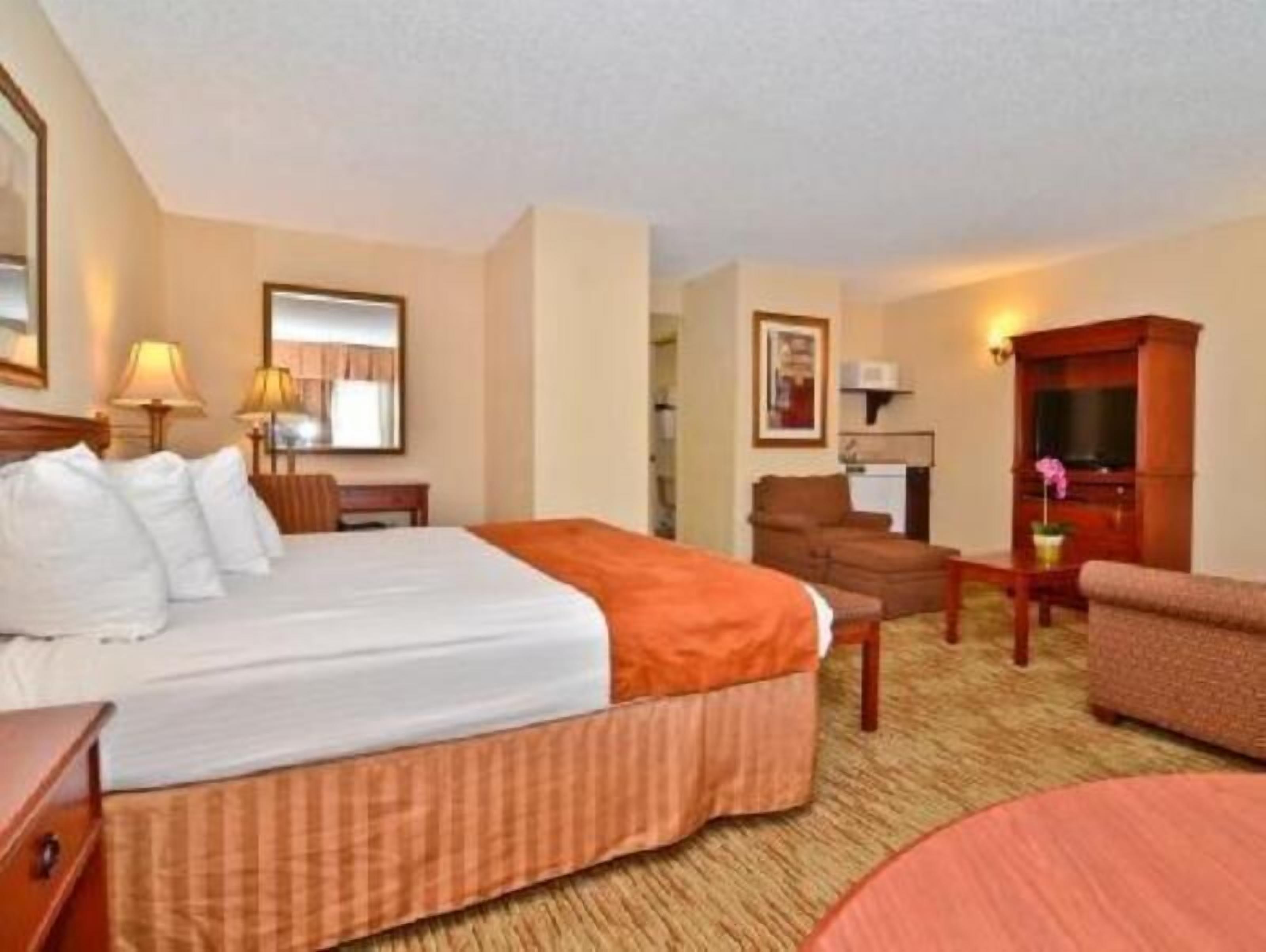 Desk, blackout drapes, soundproofing, iron/ironing board