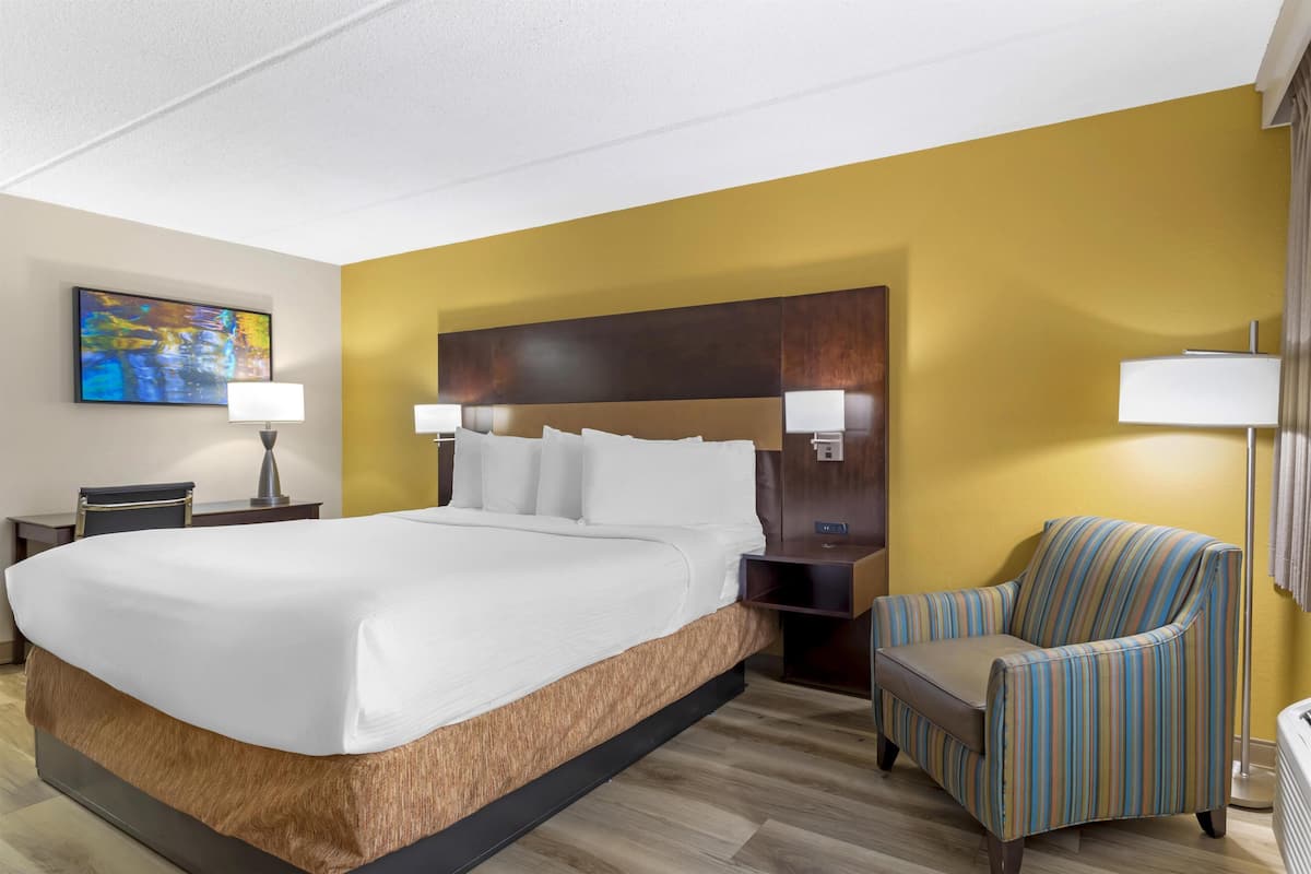 Desk, blackout drapes, soundproofing, iron/ironing board