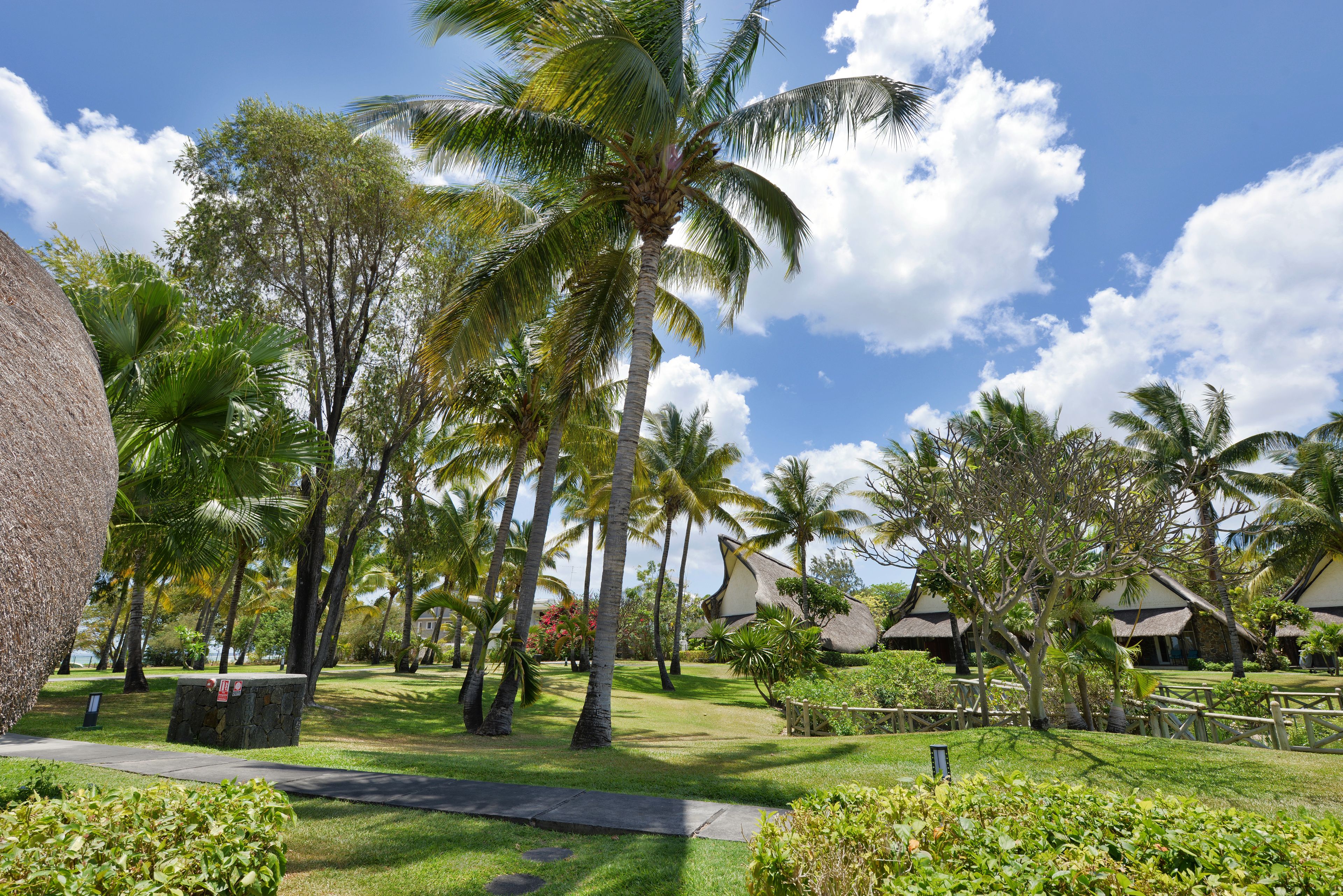 A tropical resort with palm trees, a stone pathway, and thatched-roof buildings.