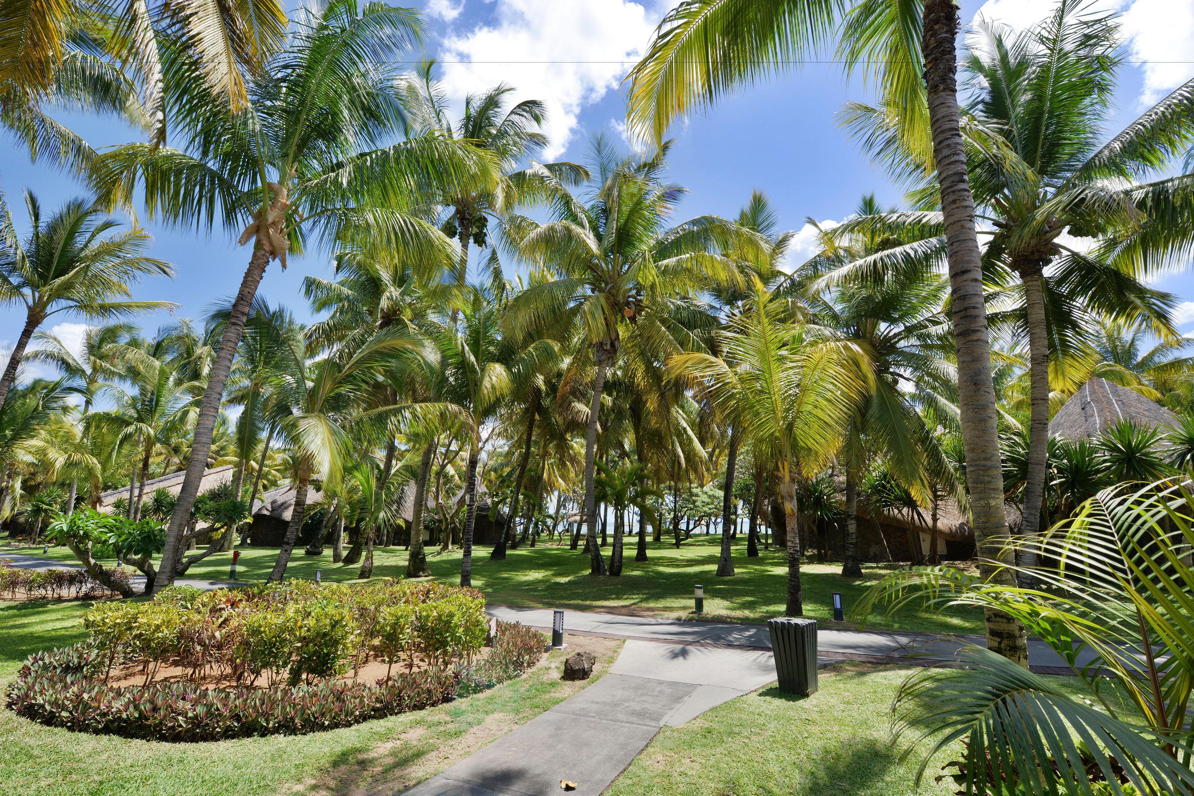 in-room safe, individually furnished, desk, blackout curtains