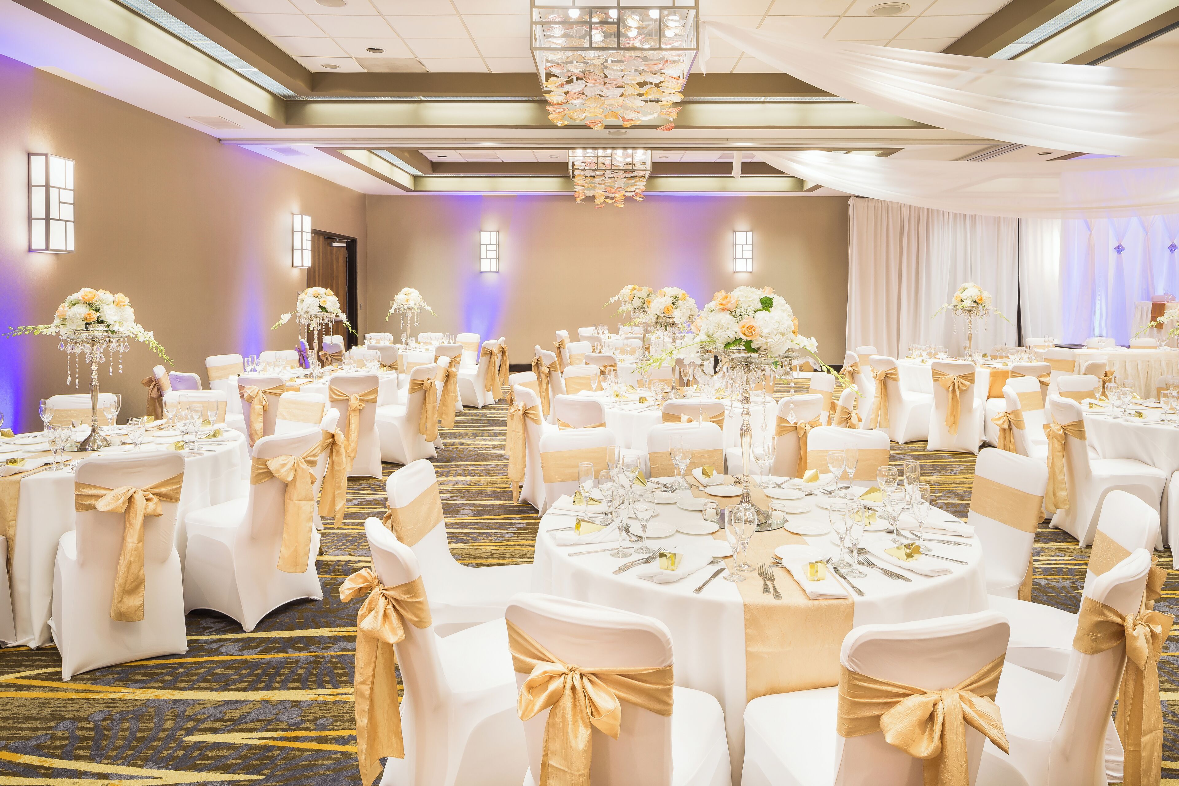Foto - Crowne Plaza Hotel Foster City-San Mateo by IHG