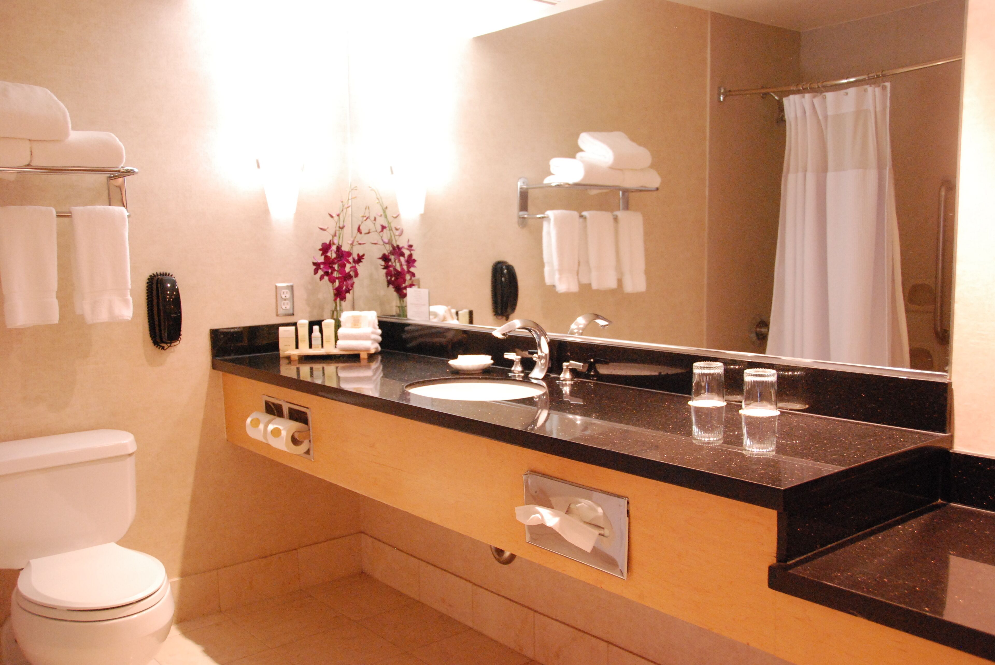 combined shower/bathtub, free toiletries, hair dryer, towels