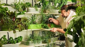 Uma pessoa vestida de chefe trabalhando com plantas em prateleiras em uma cozinha.
