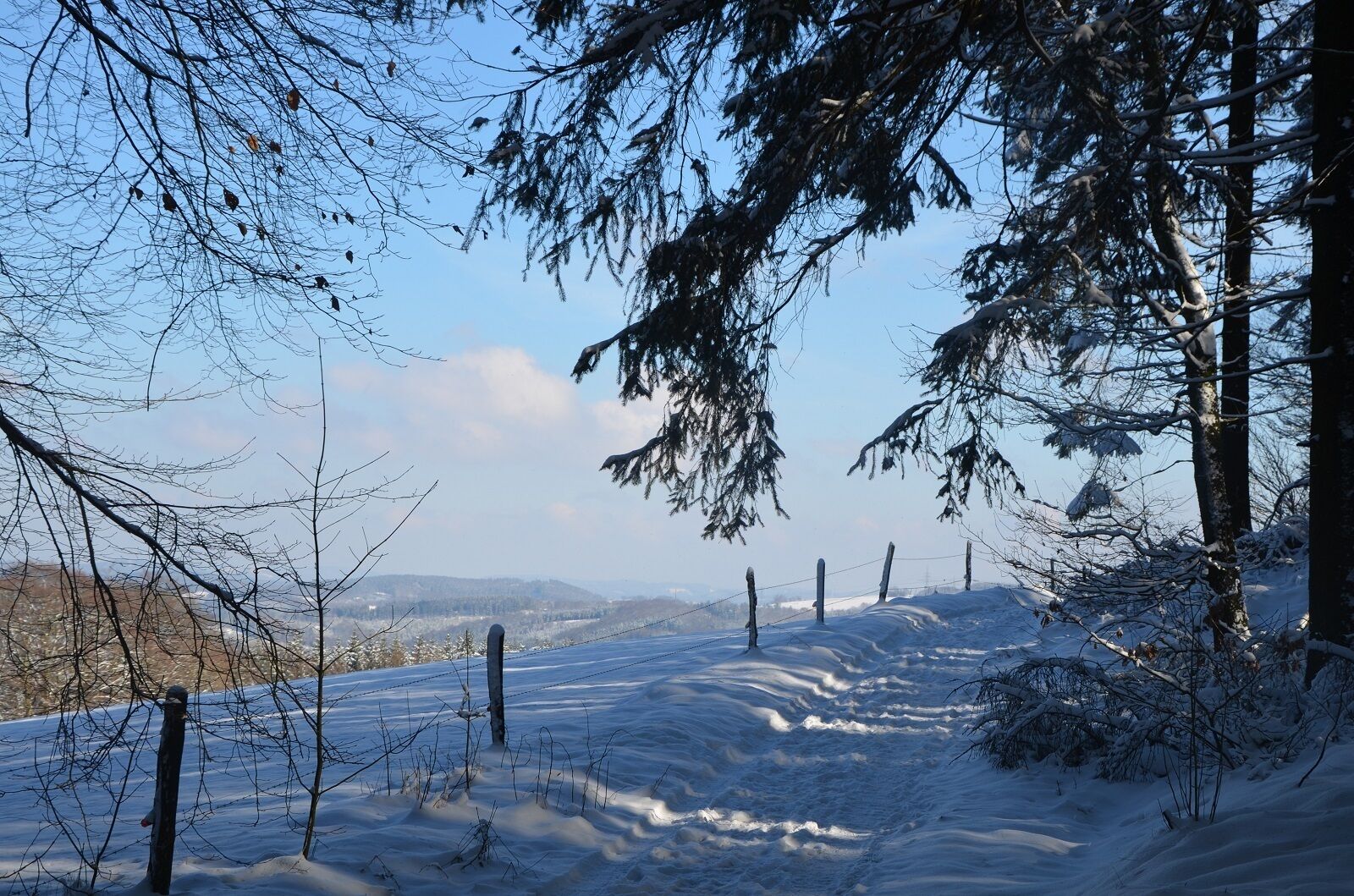 A snow-covered landscape with bare trees and a fence.