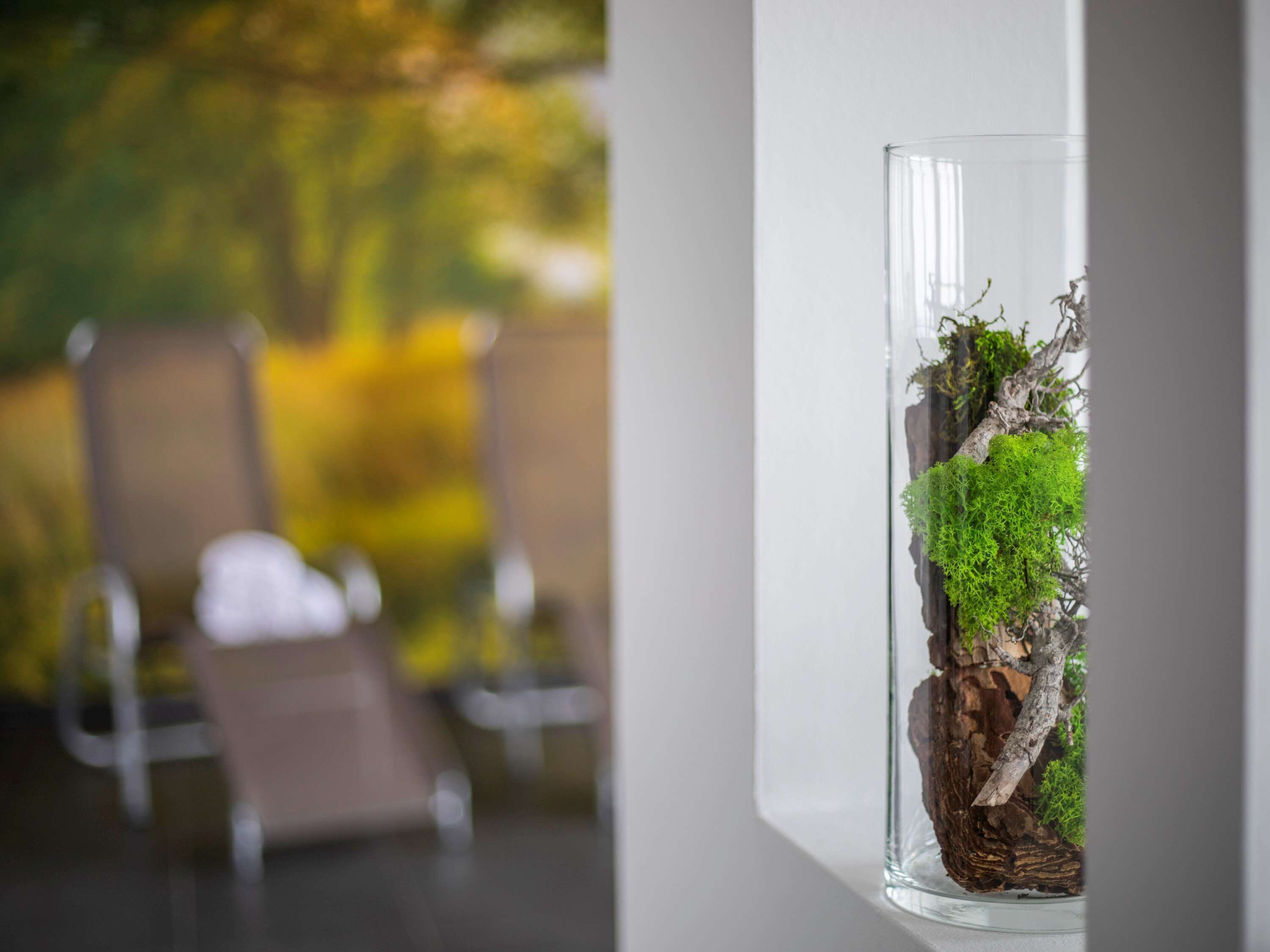 sauna, thai massages, 1 treatment room, massages