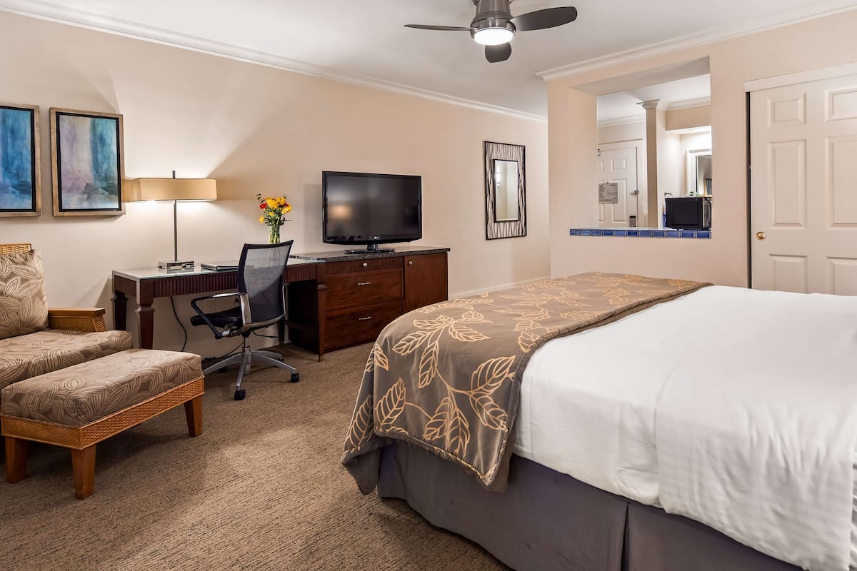 Une chambre d’hôtel comprenant un lit, un bureau avec une chaise, une télévision et un grand miroir.