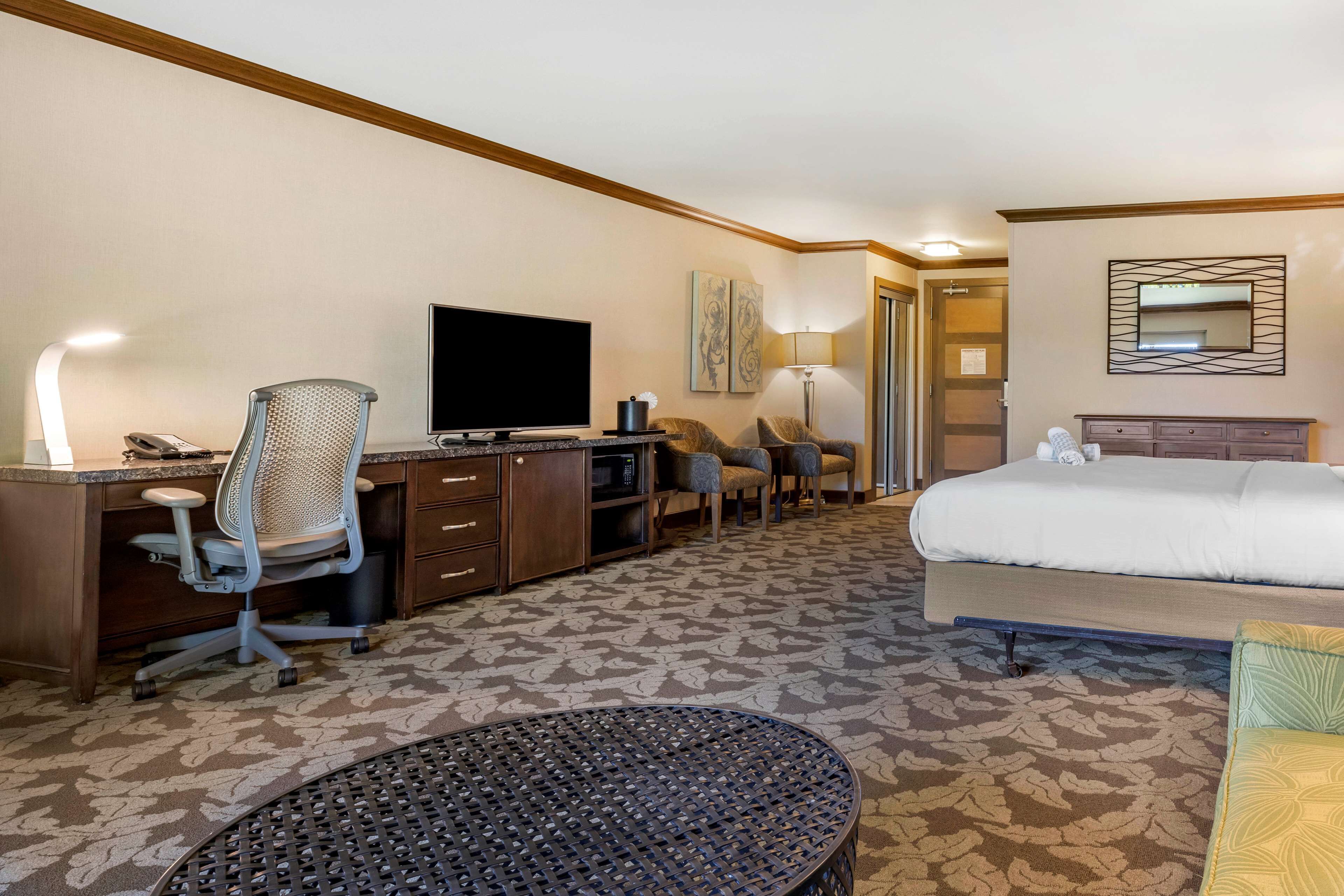 A hotel room with a bed, a desk with a TV, a chair, a lamp, and a patterned carpet.