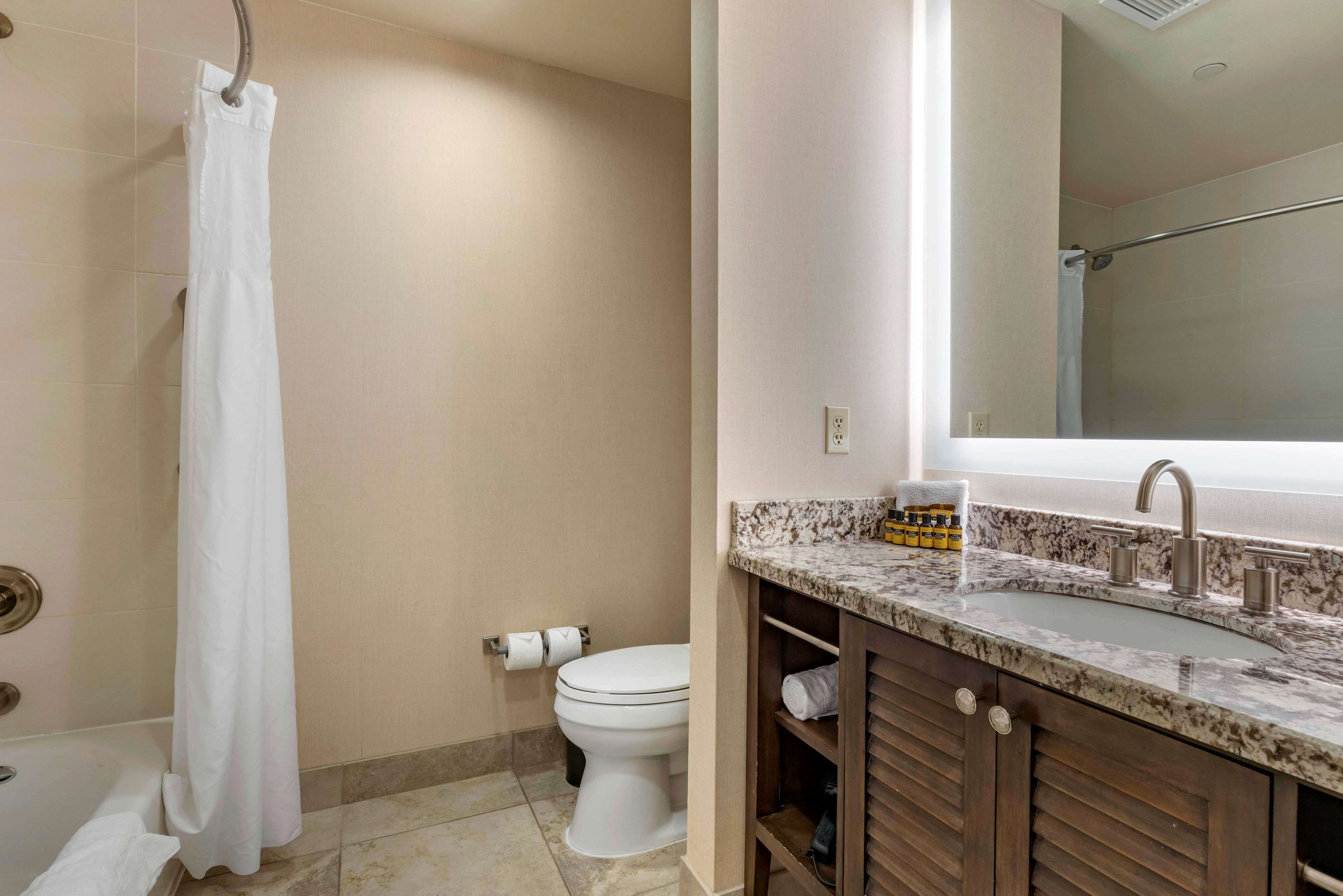 Un baño con cortina de ducha, inodoro, lavabo y espejo.