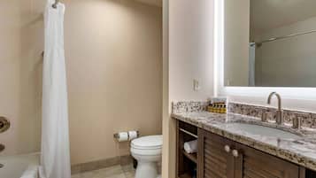 Un baño con cortina de ducha, inodoro, lavabo y espejo.