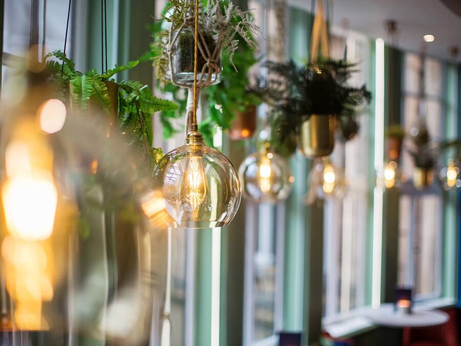 A room with hanging plants and pendant lights.