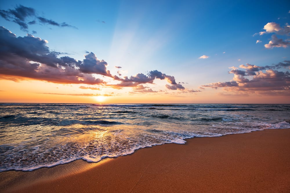Holiday Inn Resort South Padre Island - Beach Front by IHG