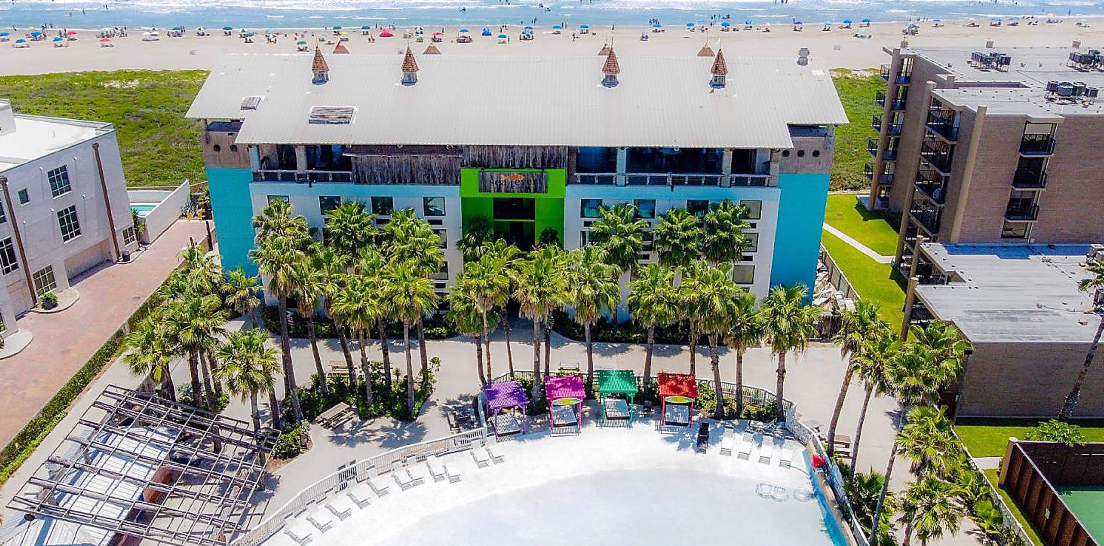 Un hôtel doté d’une piscine sur le toit, de palmiers et offrant une vue sur la plage.