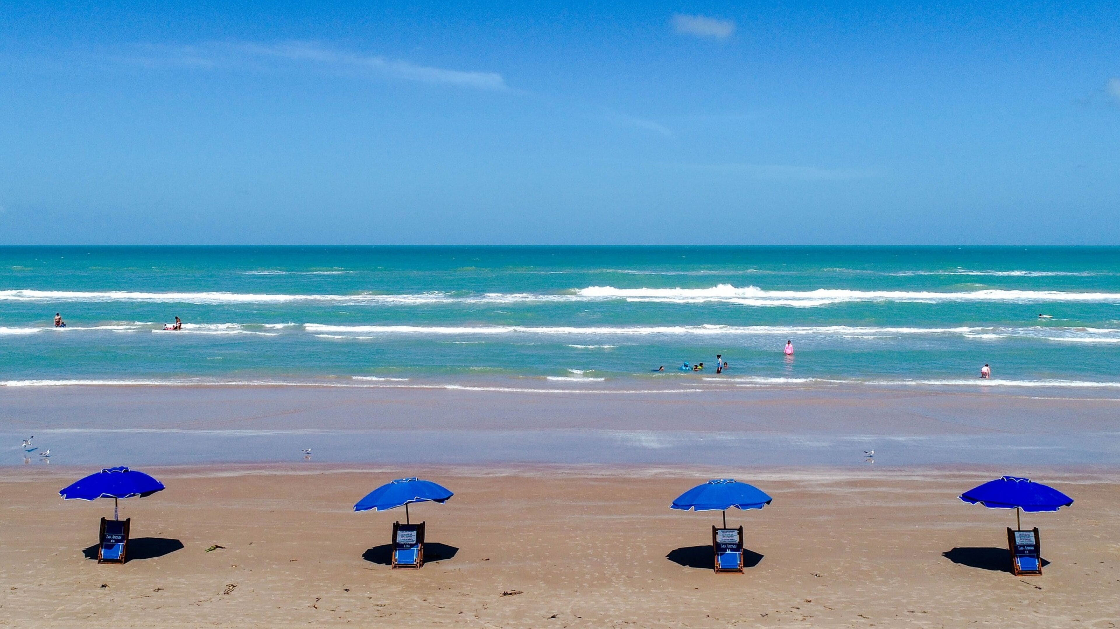 Ein Strand mit vier blauen Sonnenschirmen und Liegestühlen.