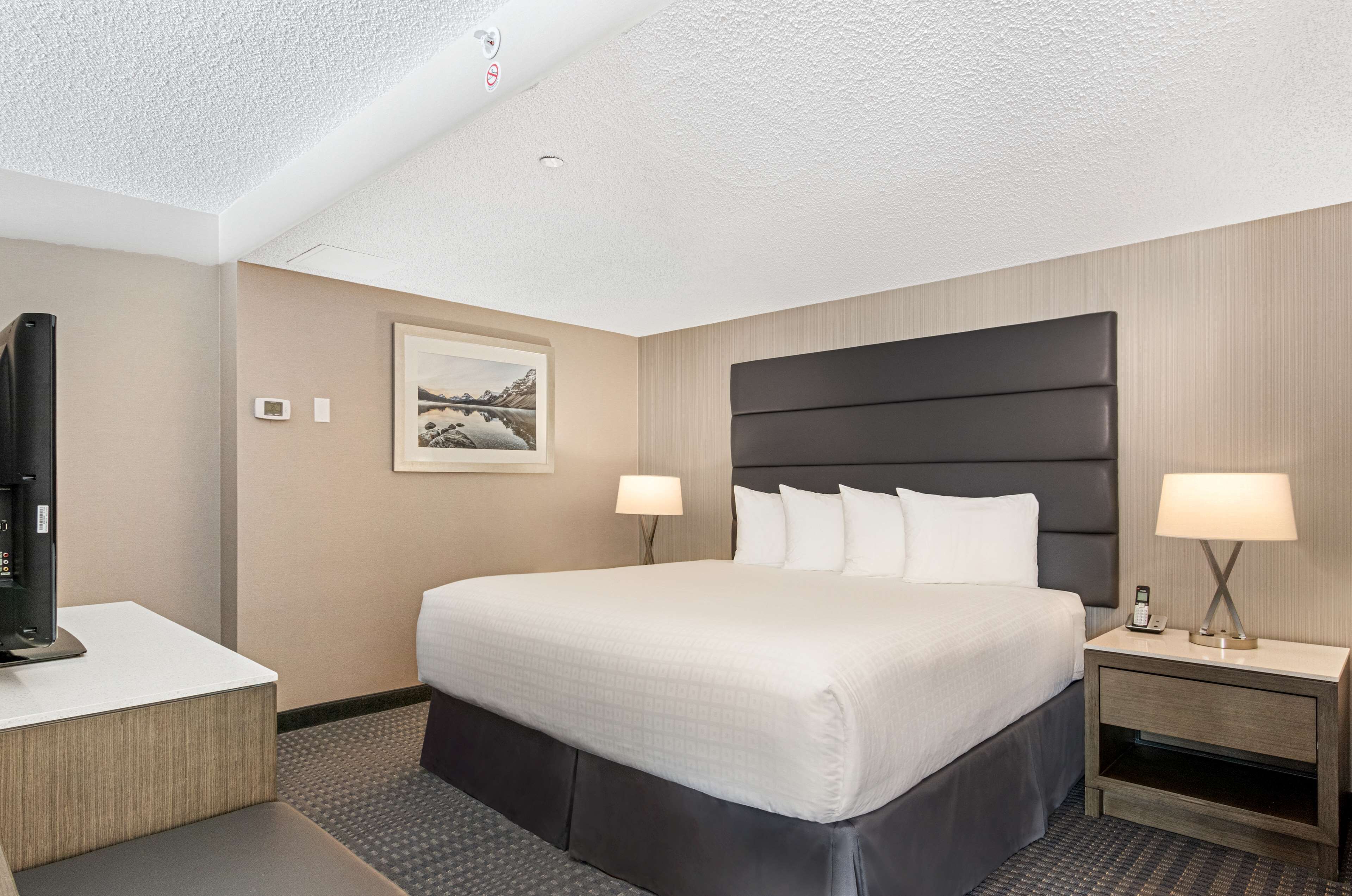 Habitación de hotel con una cama grande, dos mesitas de noche con lámparas, un televisor de pantalla plana y un cuadro en la pared.