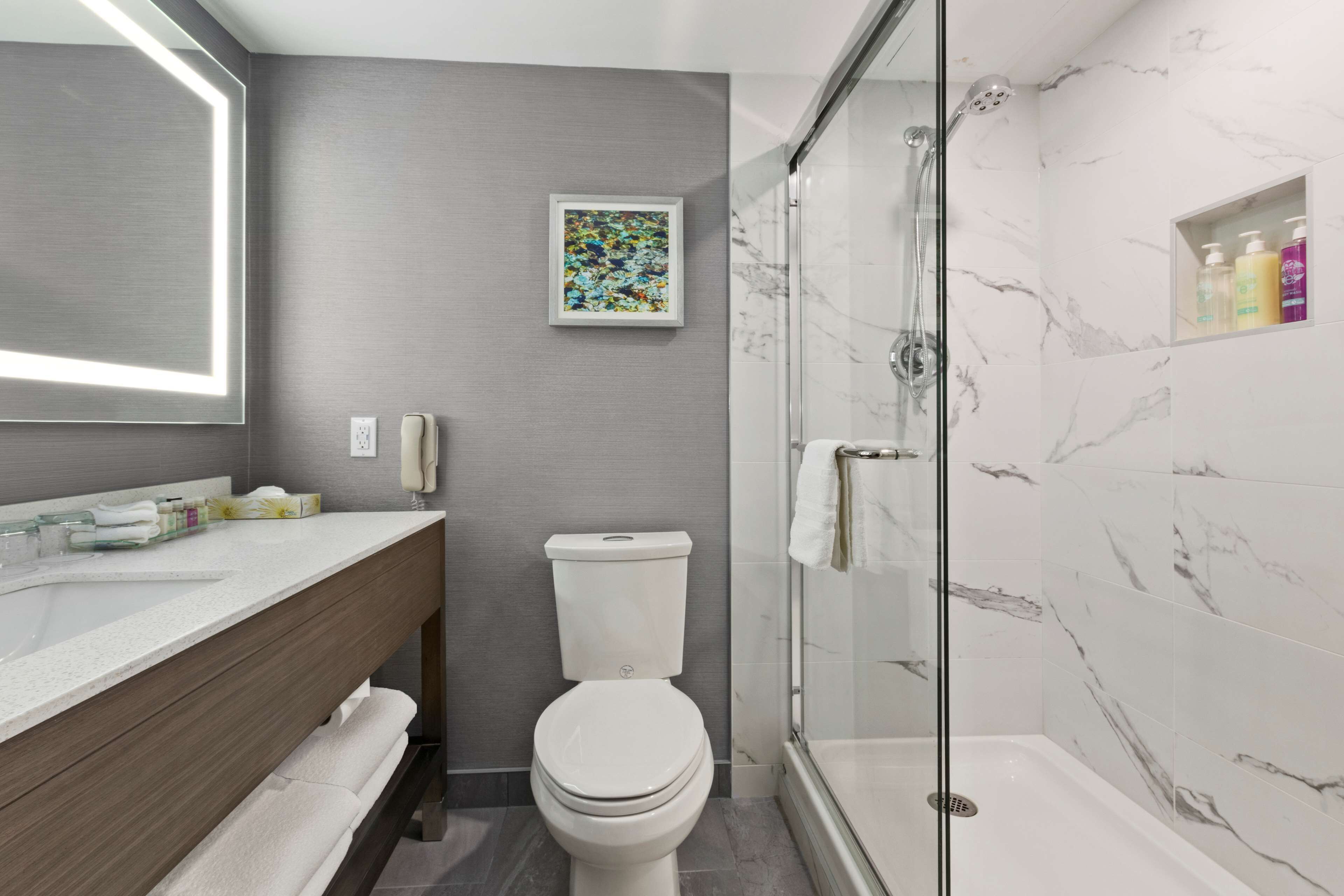 eco-friendly toiletries, hair dryer, towels, soap