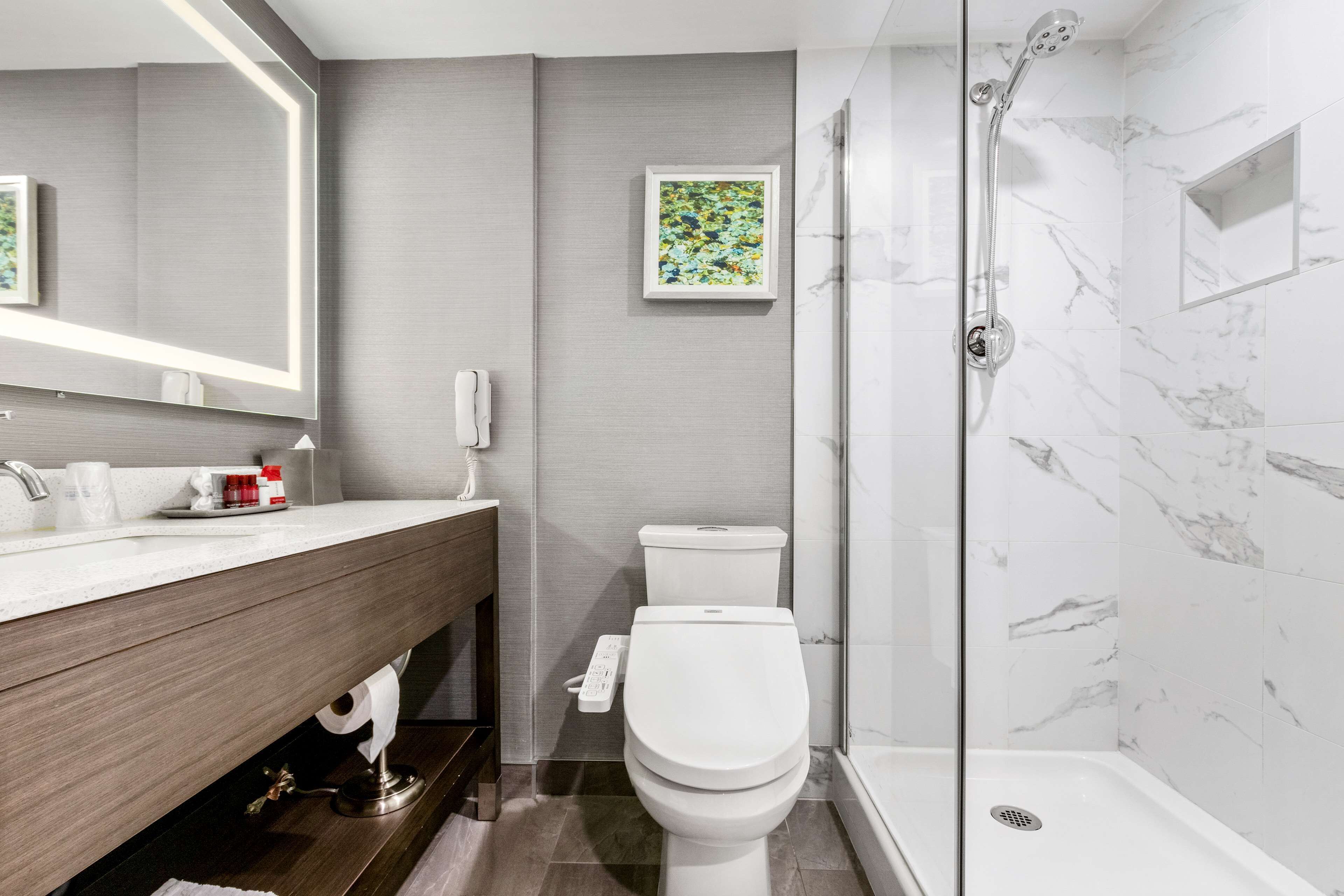 eco-friendly toiletries, hair dryer, towels, soap