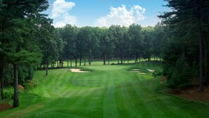 Un campo de golf con búnkeres de arena, césped cuidado y una fila de árboles.