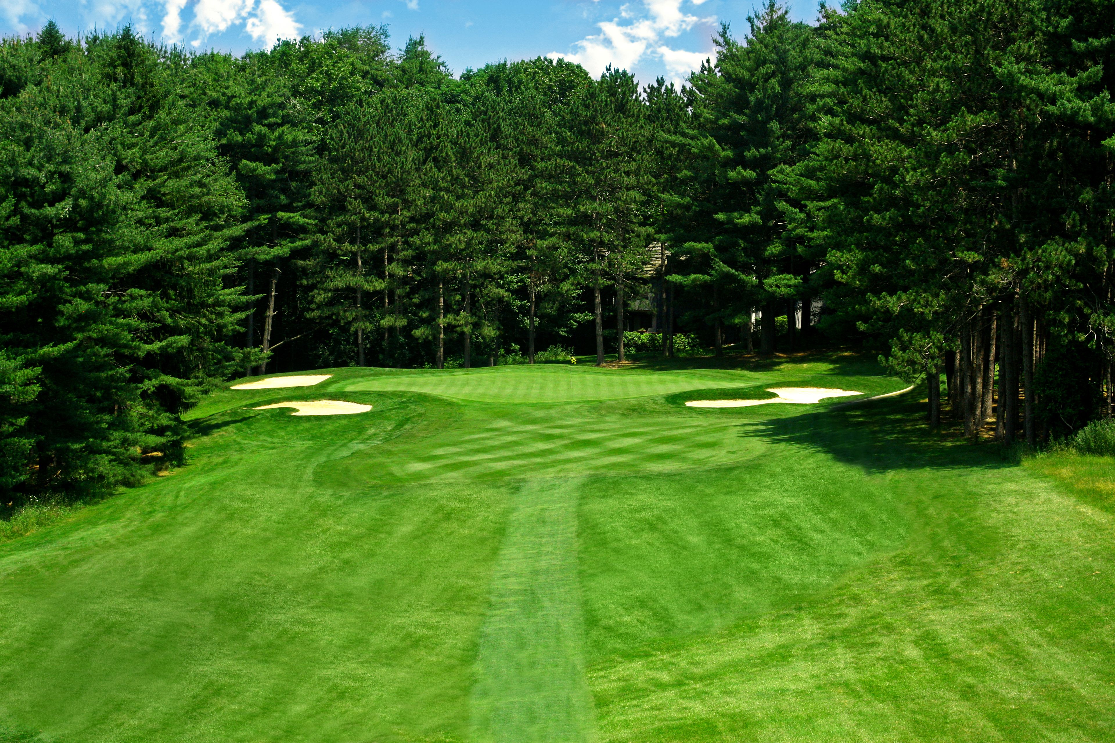Un campo de golf con búnkeres de arena y árboles densos.
