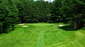 Un campo de golf con búnkeres de arena y árboles densos.
