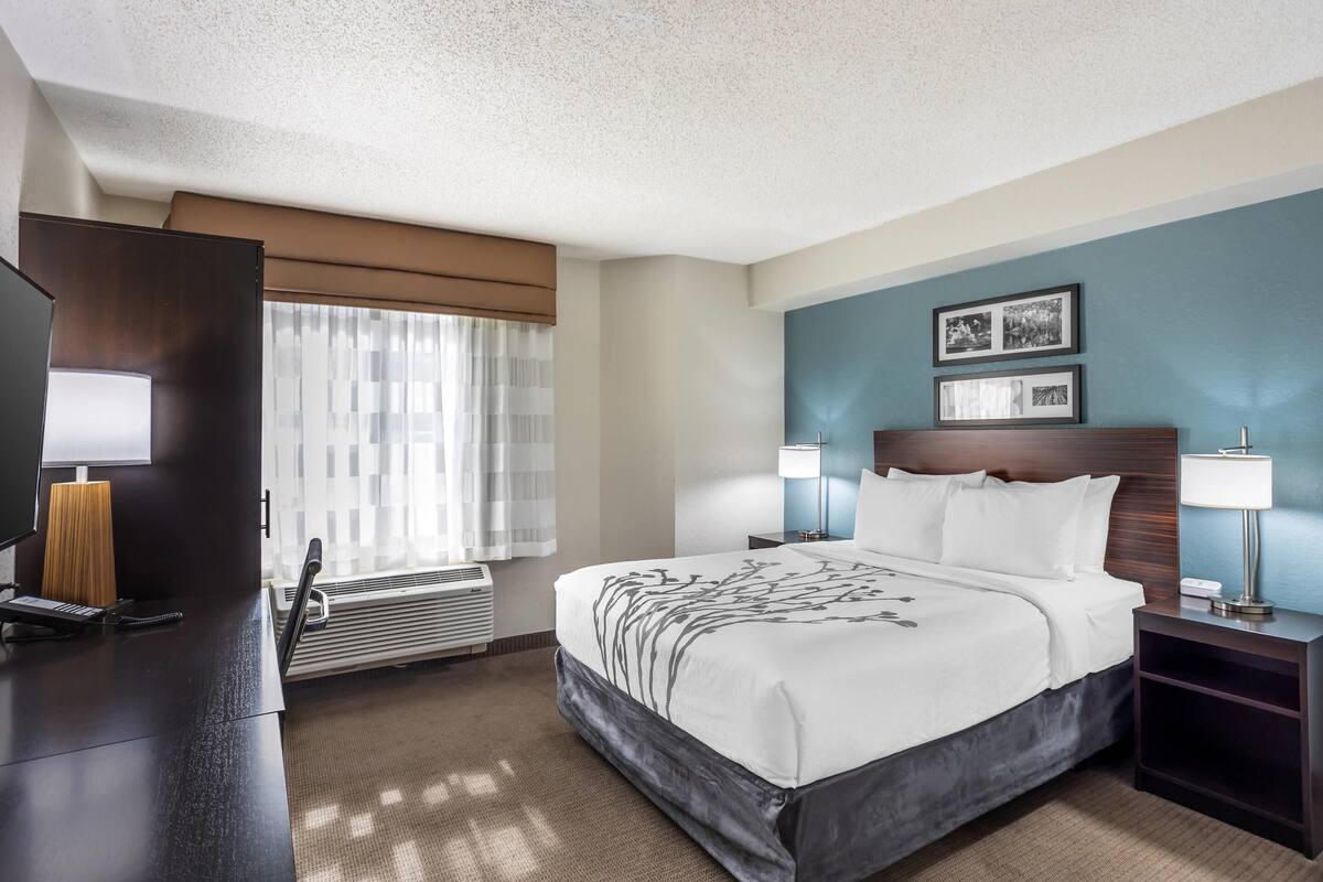 A hotel room with a large bed, bedside lamps, a desk with a telephone, a TV, and a window with sheer curtains.