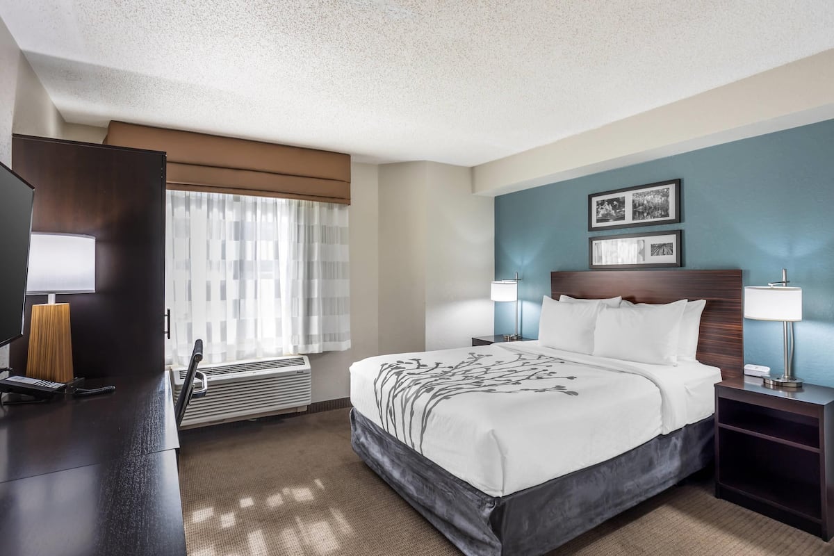 1 Queen Bed, Accessible, Roll-In Shower, Non-Smoking, No Pets Allowed | In-room safe, desk, laptop workspace, blackout drapes