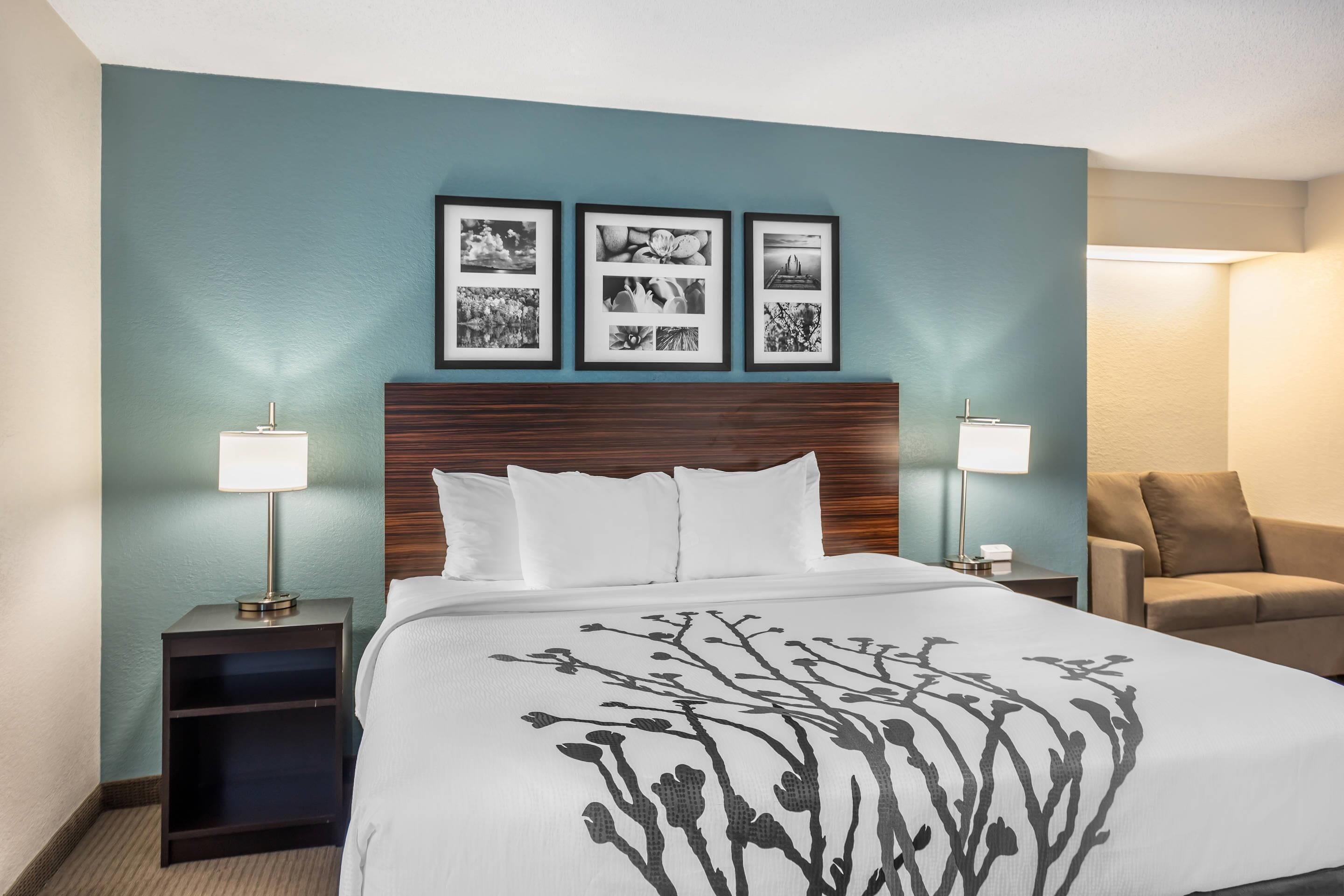 1 king bed, 1-person pullout sofa, non-smoking, no pets allowed | in-room safe, desk, laptop workspace, blackout curtains