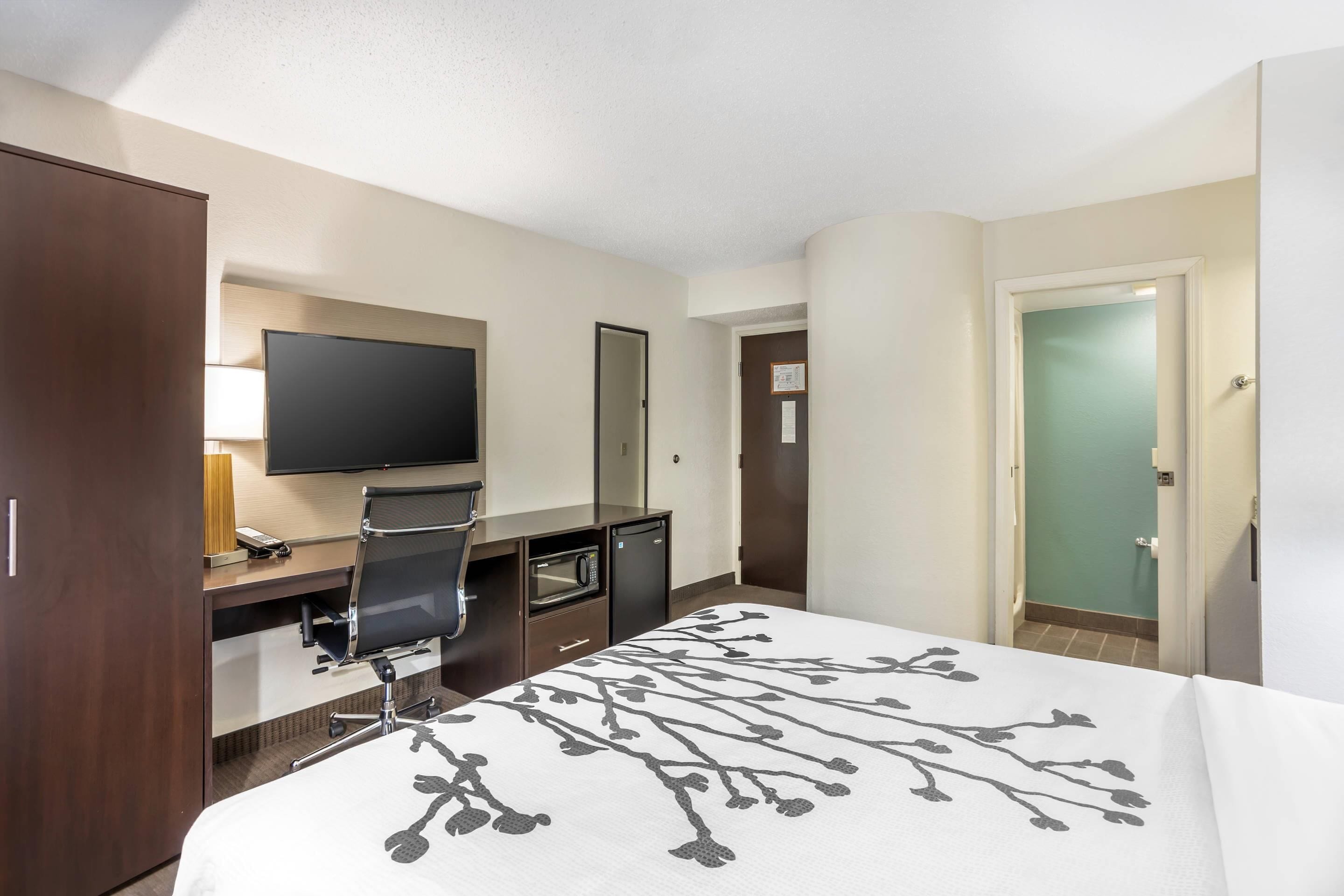 1 queen bed, non-smoking, no pets allowed | in-room safe, desk, laptop workspace, blackout curtains