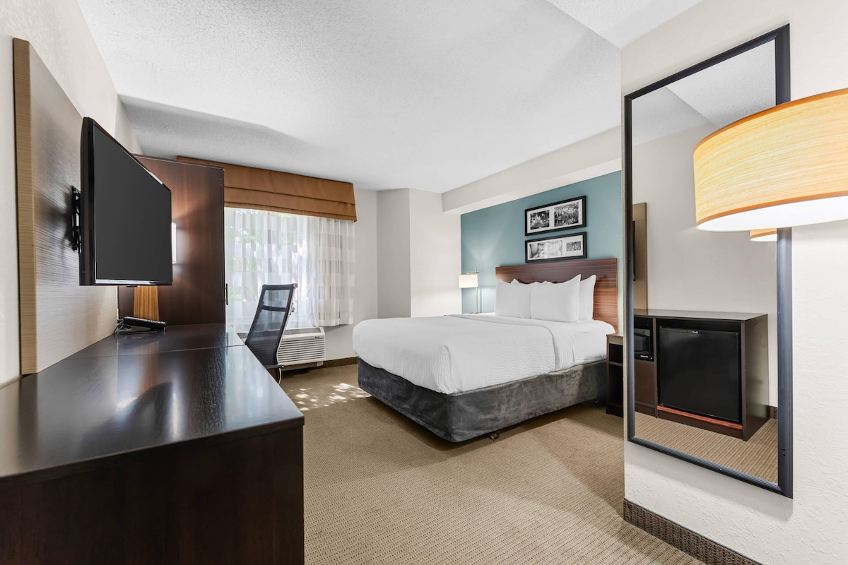 A hotel room with a bed, bedside table, lamp, and a television.